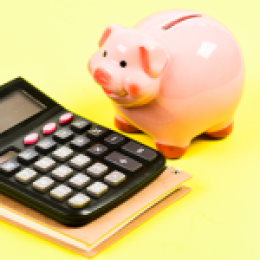 Piggy Bank; Financial Literacy 