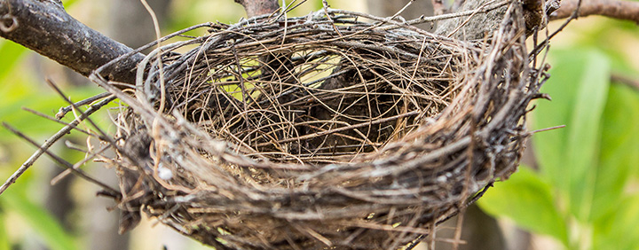 How To Prepare Financially For An Empty Nest.